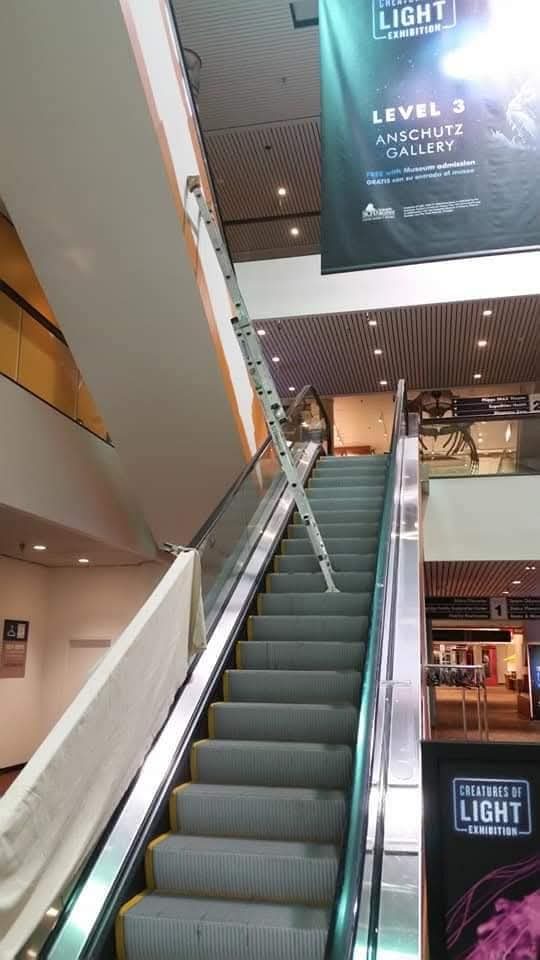 Escalator repaint in progress at a science museum, with ladder and protective sheeting, by Rock's Finest Finishes